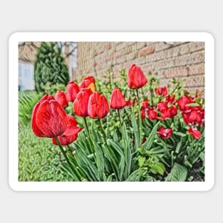 Valentines day Red tulips with love Sticker